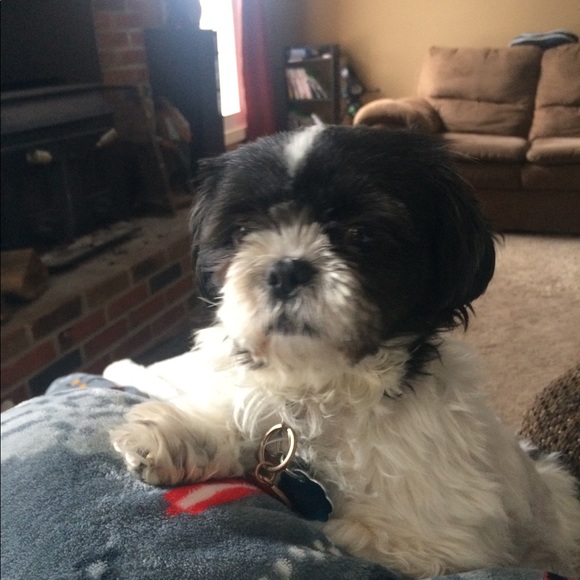 Meet your Posher, Monica - Picture 6 of 7